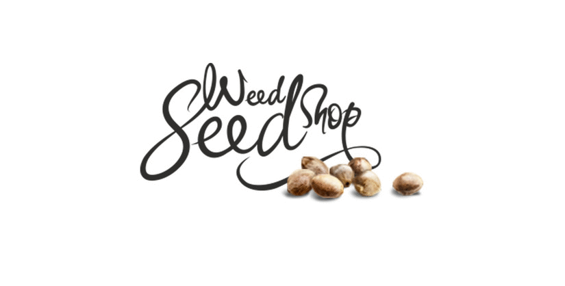 Hanfsamen Cannabis die besten Shops Marihuana Hemp Seed