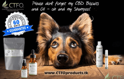 CBD for Pets Tiere Cannabis Kekse Biscuit Shampoo Öl Oil