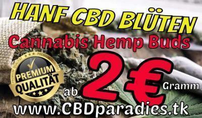 HANF CBD BLÜTEN Cannabis Hemp Buds ab 2€ gramm Tiefpreise legaler Shop legale Ware