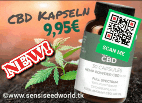CBD CANNABIS Hanf Kapseln 💥 nur 9,95€🔴 Premium Qualität direkt vom Hersteller ✔️
