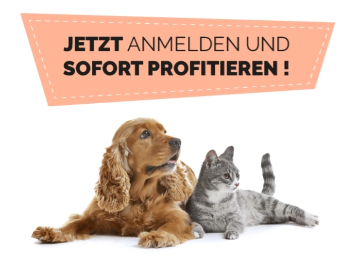 Inserate-Bild