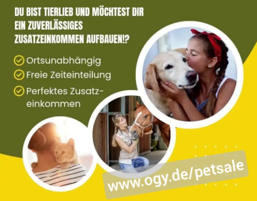 🔴 Hund Katze gesund füttern und Geld verdienen 💥 MLM Home Office Jobs Network ✔️