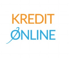 Privater Investor